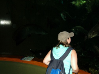 &nbsp;Select this image to see a larger version. 