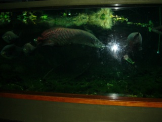 &nbsp;Select this image to see a larger version. 