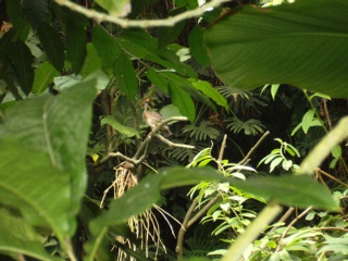 &nbsp;Select this image to see a larger version. 