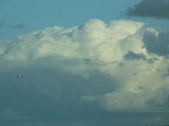 &nbsp;Select this image to see a larger version. 