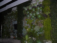 &nbsp;Select this image to see a larger version. 