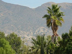 &nbsp;Select this image to see a larger version. 