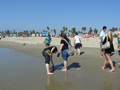 &nbsp;Select this image to see a larger version. 