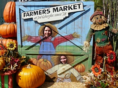 &nbsp;Select this image to see a larger version. 