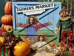 &nbsp;Select this image to see a larger version. 