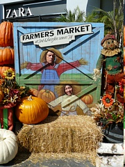 &nbsp;Select this image to see a larger version. 