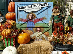 &nbsp;Select this image to see a larger version. 