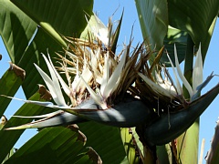 &nbsp;Select this image to see a larger version. 