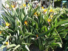 &nbsp;Select this image to see a larger version. 