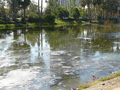 &nbsp;Select this image to see a larger version. 