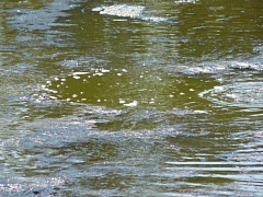 &nbsp;Select this image to see a larger version. 