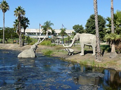 &nbsp;Select this image to see a larger version. 