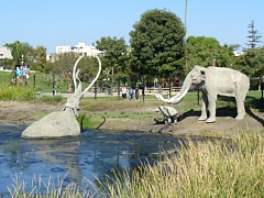 &nbsp;Select this image to see a larger version. 