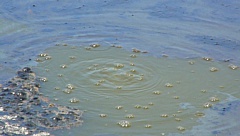 &nbsp;Select this image to see a larger version. 