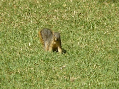 &nbsp;Select this image to see a larger version. 