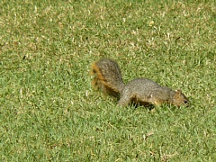 &nbsp;Select this image to see a larger version. 