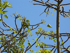 &nbsp;Select this image to see a larger version. 