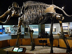 &nbsp;Select this image to see a larger version. 