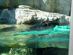 &nbsp;Select this image to see a larger version. 