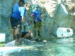 &nbsp;Select this image to see a larger version. 