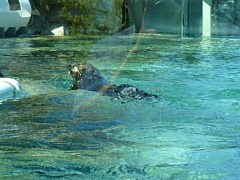 &nbsp;Select this image to see a larger version. 