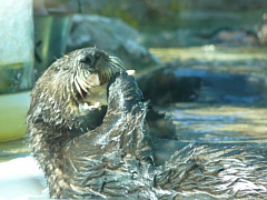 &nbsp;Select this image to see a larger version. 