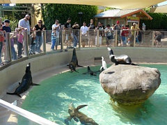 &nbsp;Select this image to see a larger version. 