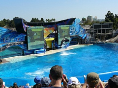 &nbsp;Select this image to see a larger version. 