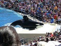 &nbsp;Select this image to see a larger version. 