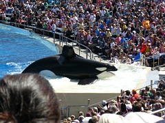 &nbsp;Select this image to see a larger version. 