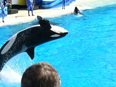 &nbsp;Select this image to see a larger version. 