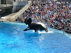 &nbsp;Select this image to see a larger version. 