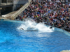 &nbsp;Select this image to see a larger version. 