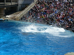 &nbsp;Select this image to see a larger version. 