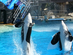 &nbsp;Select this image to see a larger version. 