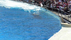 &nbsp;Select this image to see a larger version. 