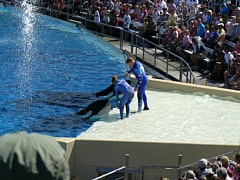 &nbsp;Select this image to see a larger version. 