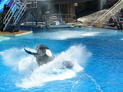 &nbsp;Select this image to see a larger version. 