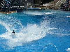 &nbsp;Select this image to see a larger version. 