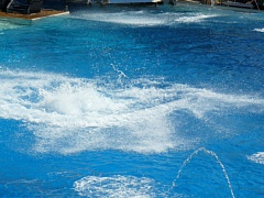 &nbsp;Select this image to see a larger version. 