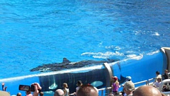 &nbsp;Select this image to see a larger version. 