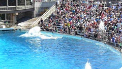 &nbsp;Select this image to see a larger version. 