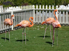 &nbsp;Select this image to see a larger version. 