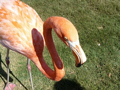 &nbsp;Select this image to see a larger version. 