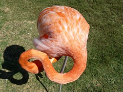 &nbsp;Select this image to see a larger version. 