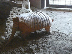 &nbsp;Select this image to see a larger version. 