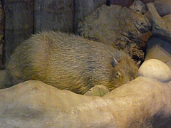 &nbsp;Select this image to see a larger version. 