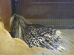 &nbsp;Select this image to see a larger version. 