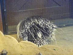 &nbsp;Select this image to see a larger version. 