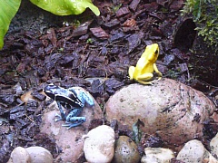 &nbsp;Select this image to see a larger version. 